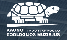 Screenshot 2022-03-16 at 09-00-37 Titulinis - Kauno zoologijos muziejus